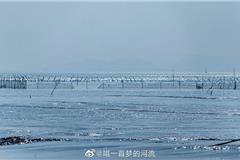 海城的滩涂，本地老渔民在滩涂地里养着蛏子，特别有趣的是他们的“小舟”，踩在上面像滑板一样，脚一蹬就滑的老远。来源：新浪微博 唱一首梦的河流