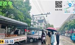 龙港街头一幕！别把马路当自己家了