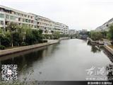 为温州创建国家环保模范城市添砖加瓦 龙港在行动