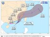 第9号台风“卢碧”生成！强降雨来袭！龙港启动防汛Ⅳ级应急响应