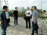 温州日报记者来龙港镇水深垟村采风