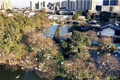 其实你知道吗？春天已经悄悄来临，油菜花都开了。 摄影：池长峰