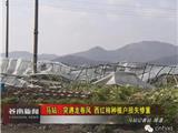 马站遭遇龙卷风 刮走番茄十八亩种植户损失惨重