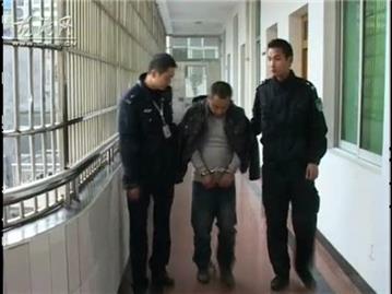 龙港分局破获系列性抢劫残疾车案件