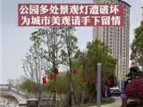 龙港城市公园多处景观灯遭破坏，为城市美观请手下留情！