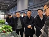 张崇波来龙港调研科技创新工作
