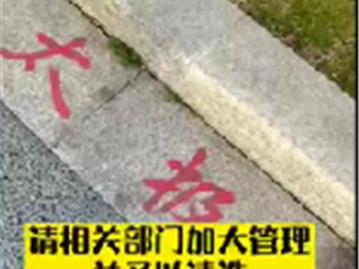 刚建的龙港大桥公园 地面已遭人为乱写乱涂