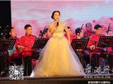 激情飞“羊” 共筑梦想 --新年文艺大汇演民乐团专场