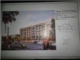 龙港镇鲸头村林先琴等34户36间拆迁安置及无房 户林国传等20户10间项目乡村建设规划许可批前公示