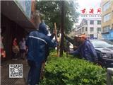灾后自救：龙港生态中心对受灾绿化进行全面抢修