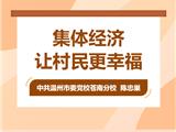 集体经济：让村民生活更幸福