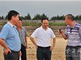 董旭斌调研龙港污水处理厂工程建设
