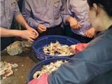 苍南市监局迅速核查网传“注胶虾蛄”现象