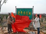 “让青春在林中闪光”－－青年积极响应义务植树