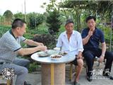 龙港加大美丽乡村建设督查力度