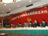 中国共产主义青年团龙港镇第五次代表大会5