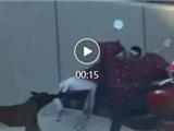龙港刚刚发生一起马犬咬伤2人事件