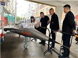方以军局长督查文军小学双拥模范校创建工作