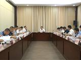 龙港市委人才工作领导小组第一次会议召开