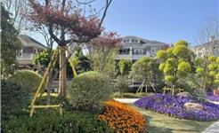 从“边角料”到“幸福角”！龙港方寸绿地兜起满满民生幸福