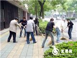 人人动手，美化家园