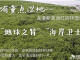 龙港新美洲红树林湿地被列入省重点湿地名录