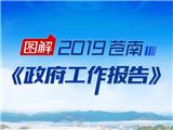 一图读懂丨2019苍南县政府工作报告