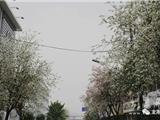龙港花开遍地 生态宜居的“后花园”