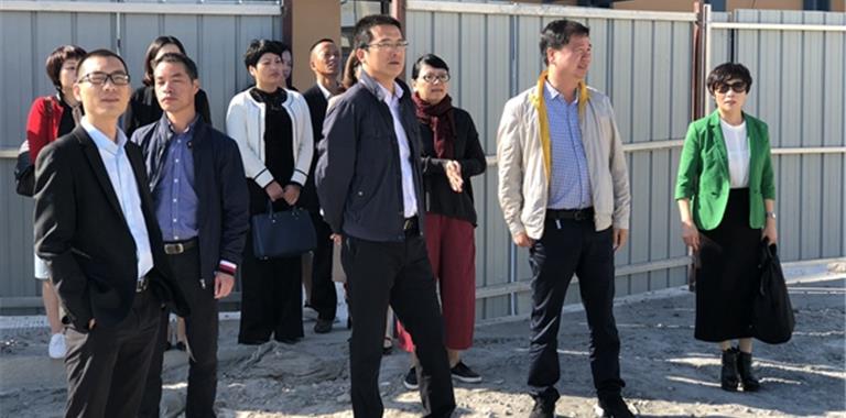 市人大代表来龙港镇开展视察活动