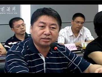 （下）中规院深圳分院专家汇报我镇总体规划方案.