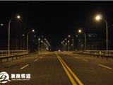 夜幕中的瓯南大桥
