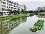 陈为来开展龙凤河巡河活动