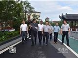 龙港创建省级森林城镇接受省专家组预检