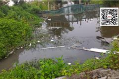    上卢处河，山前段，卢处段河面保洁做不到位，还有河边陈年垃圾，请云岩，江山社区做好保洁和环境整治工作。