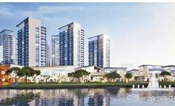 龙港市城市建设发展有限公司 砥砺奋进促蝶变 高质量发展开新篇