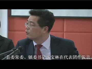 县委常委、镇委书记汤宝林在代表团作发言