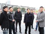 王忠秀调研春节前园林绿化和景观布置工作