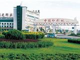 中国改革报：记龙港镇建镇三十年周年纪事