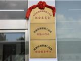 龙港改革获立法“撑腰” 不设乡镇基层治理有啥不同