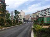 龙港花开遍地 生态宜居的“后花园”