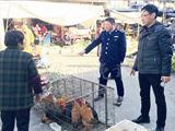苍南查处首例活禽交易案 当事人被立案调查