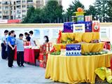 龙港市举办首届农民丰收节大型宣传展示活动