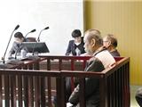 平阳泰宇房开老板被判刑5年半 