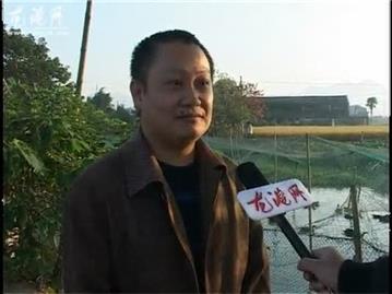 我镇首个斑嘴野鸭生态养殖场