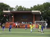 新龙港•兴运动|龙港市中小学校园足球选拔赛开锣鸣哨