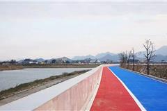 美翻！横阳支江绿道景观龙港段要完工了，一起来先睹为快吧！