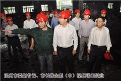 “今天来，不是来说成绩的，而是来施压的。希望苍南进一步发挥自身潜力，加大项目攻坚力度，努力在考核排名中不断‘晋级升位’，为经济社会发展作出更大贡献。”陈金彪开门见山地说明来意后，来到正在恢复生产的龙港瑞田钢业公司指导工作，并督查正在加紧建设的苍南交通枢纽中心项目。 昨天上午，市委副书记、市长陈金彪昨赴苍南督查项目攻坚情况时强调，急起直追，奋发进取，齐心协力，以“等不起、睡不着”的干事激情，强力推进项目攻坚，努力在关键的二季度“中考”中，交出一份漂亮答卷。 市政府秘书长詹永枢参加督查。