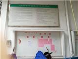 关于拟对张秀表个人住宅违法用地清理补办调查 公  告 （2019）第28号