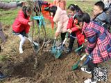 龙港：天空放晴 植树节一起种树去