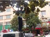 龙港交警擦亮监控的眼，让违法行为无处躲藏
